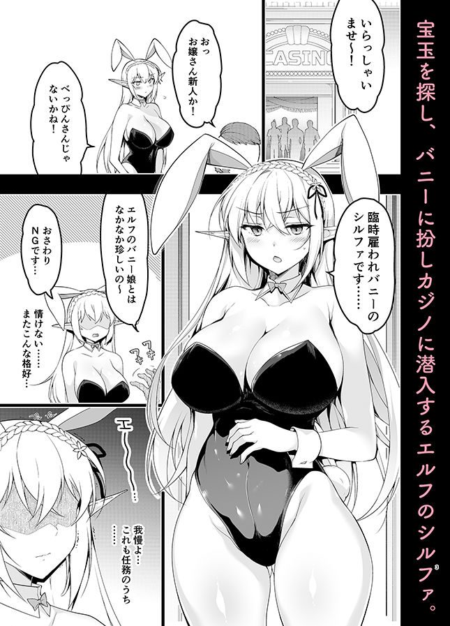 エルフに淫紋を付ける本Level:5（にのこや）エロ同人1