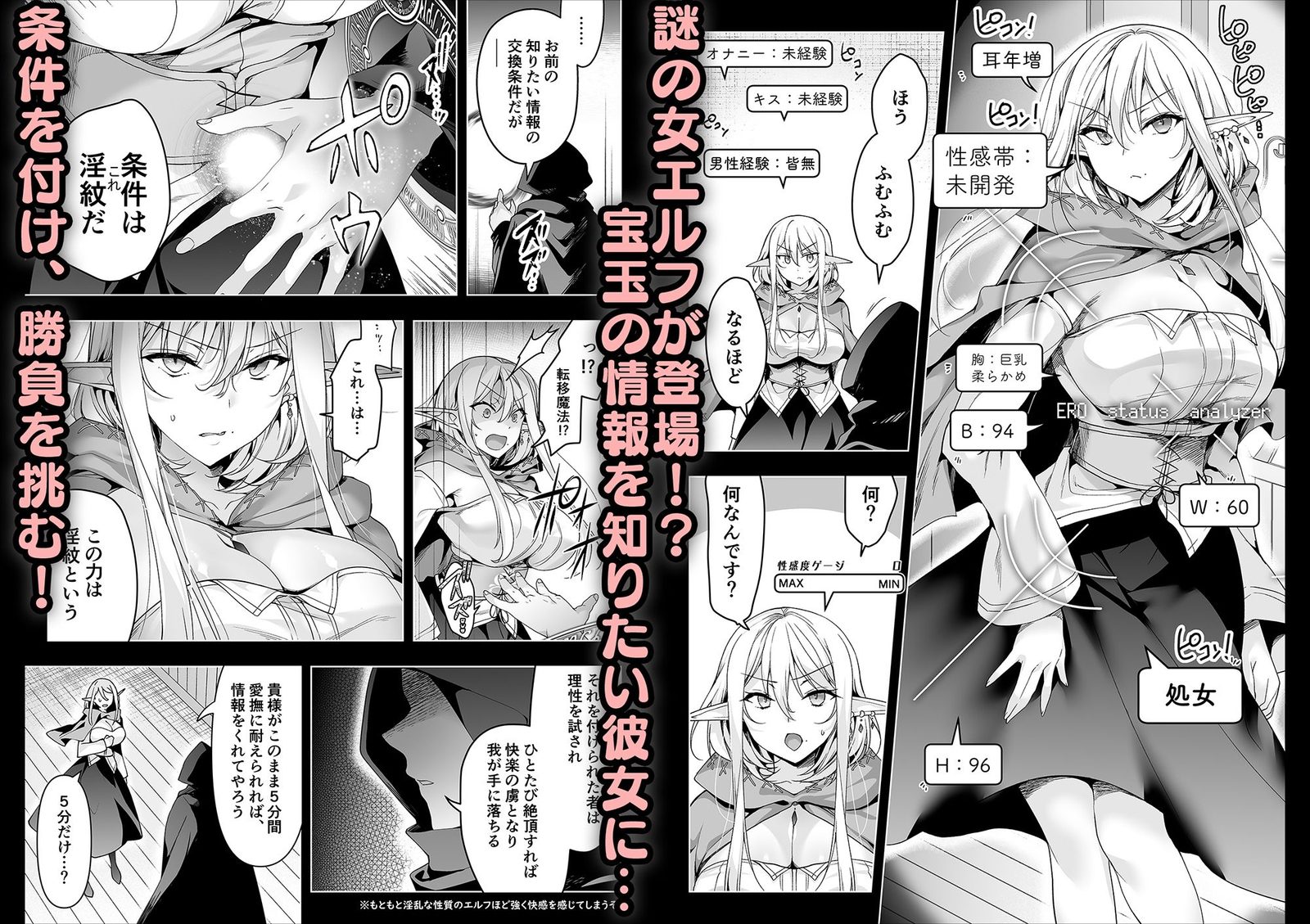エルフに淫紋を付ける本 LEVEL:6(にのこや)エロ同人5
