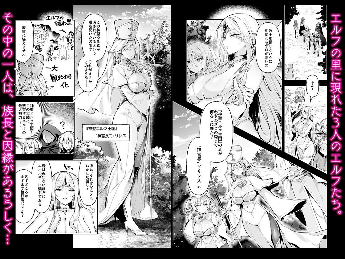 エルフに淫紋を付ける本 LEVEL:9（にのこや）エロ同人1
