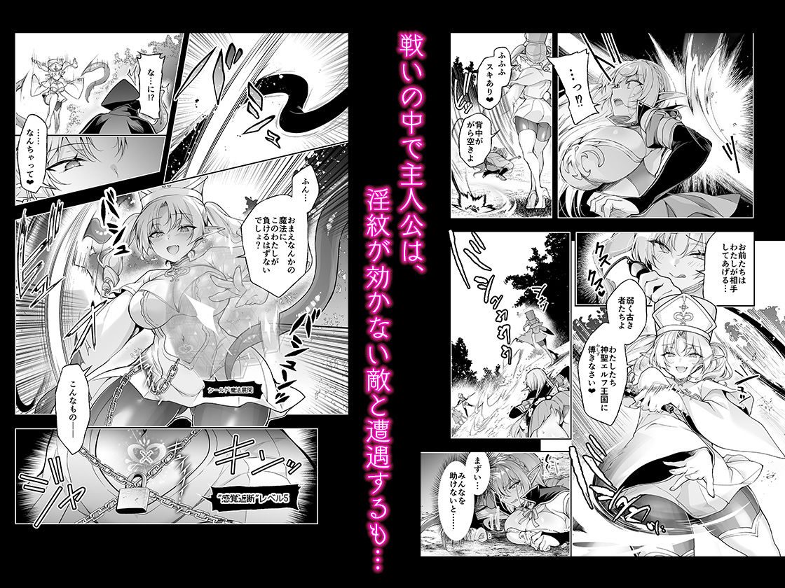 エルフに淫紋を付ける本 LEVEL:9（にのこや）エロ同人3