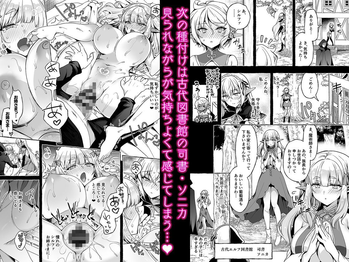 淫紋魔術師のエルフハーレム（にのこや）エロ同人3