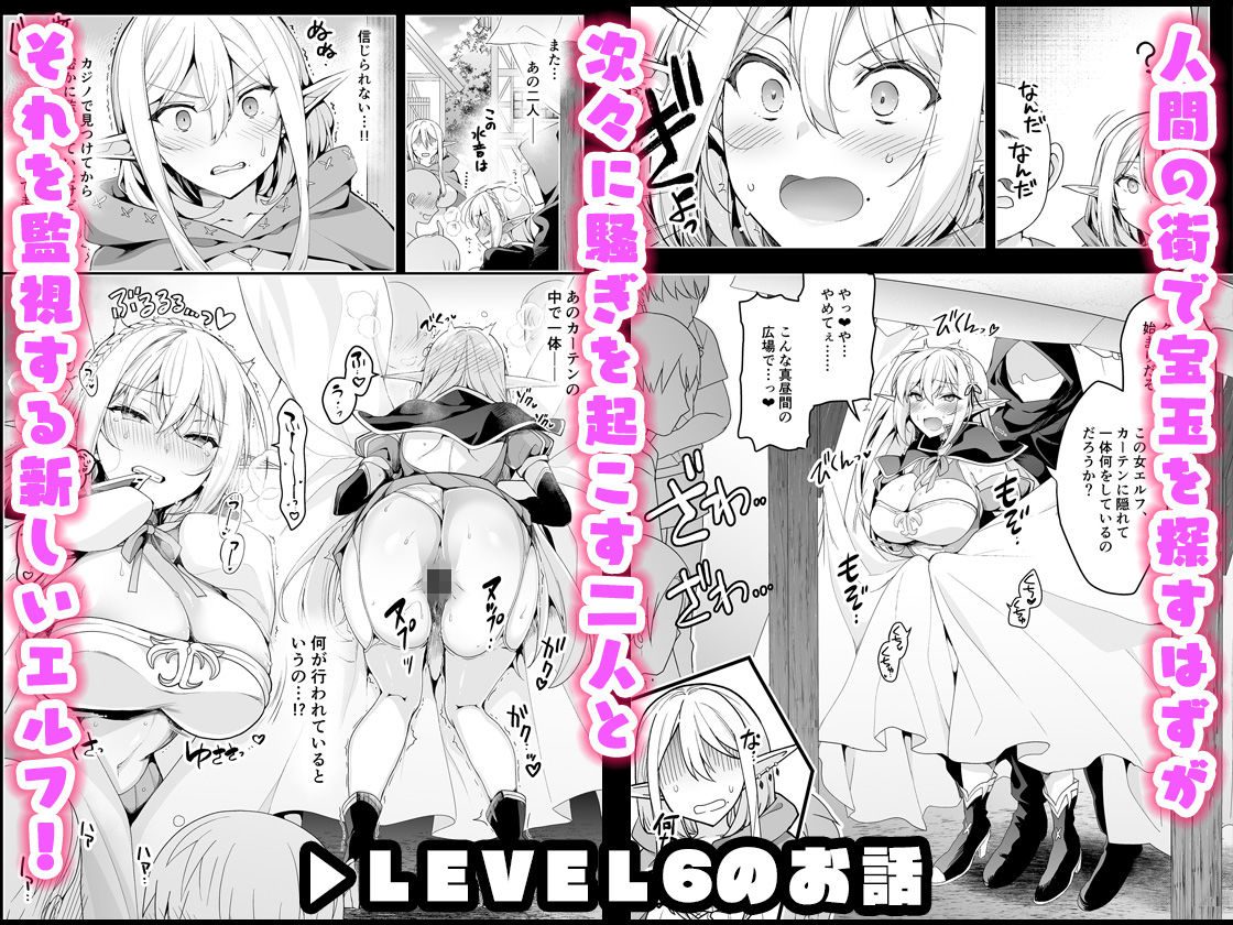 エルフに淫紋を付ける本 LEVEL:5〜8 総集編（にのこや）エロ同人4