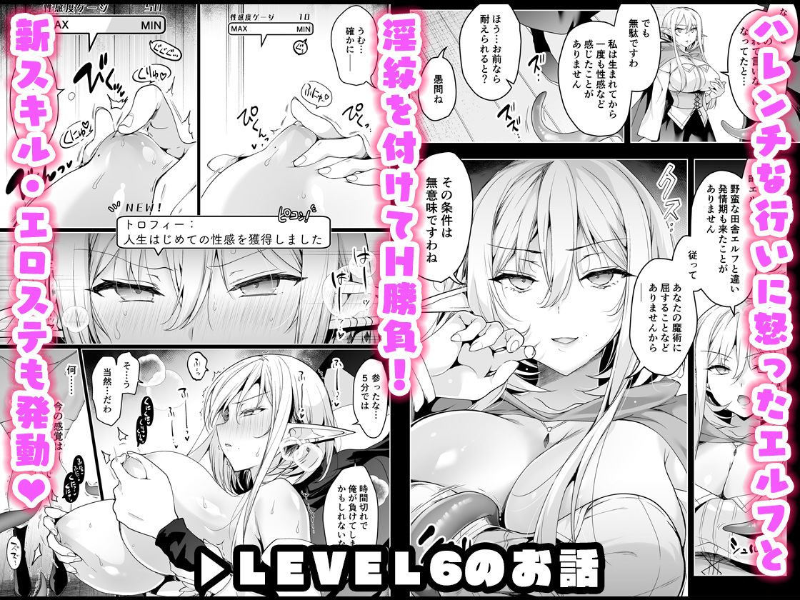 エルフに淫紋を付ける本 LEVEL:5〜8 総集編（にのこや）エロ同人5
